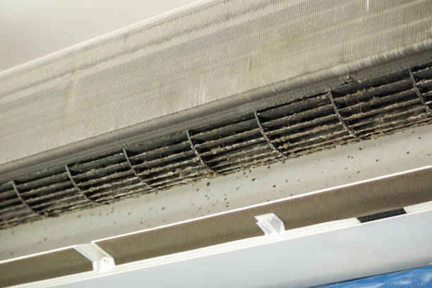 Best Ductwork Cleaning Services  in Pleasanton, TX